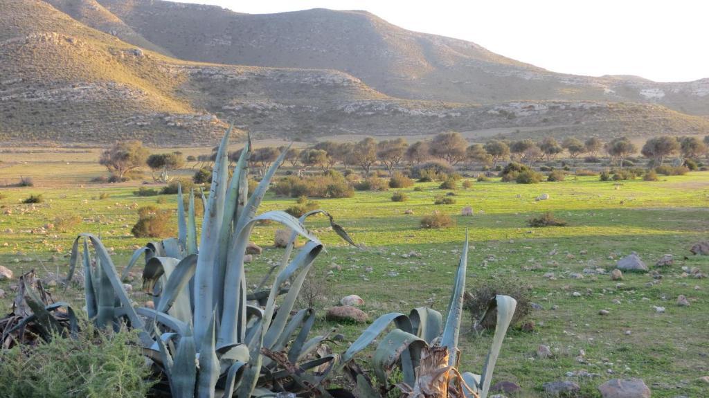 Complejo La Ermita Hotel Rodalquilar Bagian luar foto